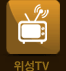 위성TV